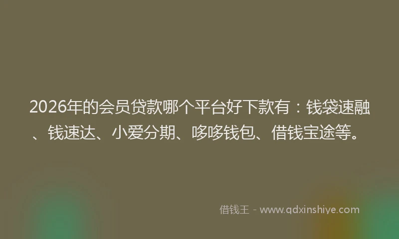 2026年的会员贷款哪个平台好下款有:钱袋速融、钱速达、小爱分期、哆哆钱包、借钱宝途等。