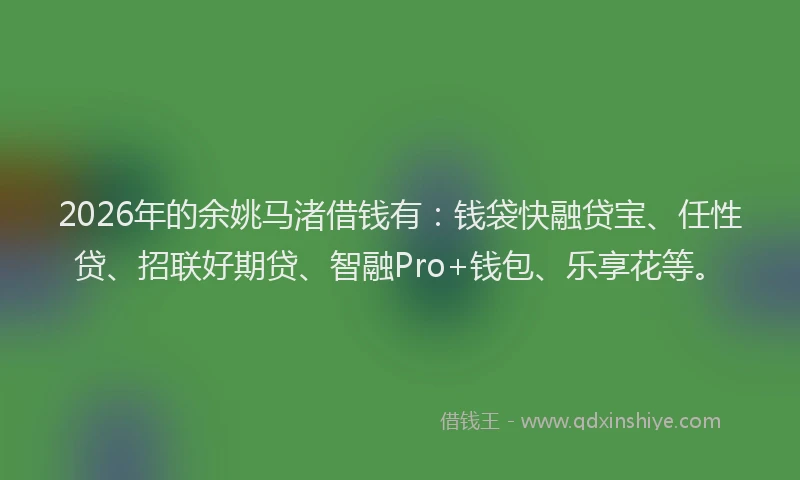 2026年的余姚马渚借钱有:钱袋快融贷宝、任性贷、招联好期贷、智融Pro+钱包、乐享花等。
