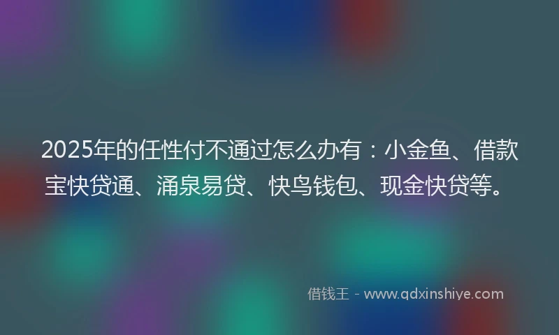 2025年的任性付不通过怎么办有：小金鱼、借款宝快贷通、涌泉易贷、快鸟钱包、现金快贷等。