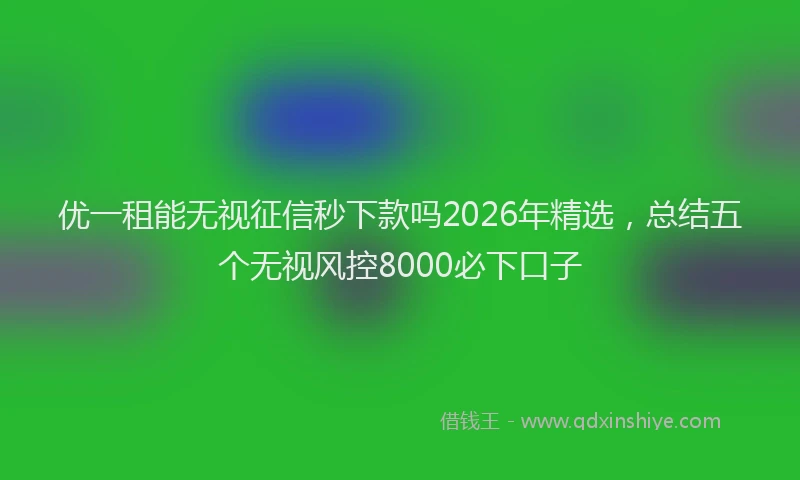 优一租能无视征信秒下款吗2026年精选，总结五个无视风控8000必下口子