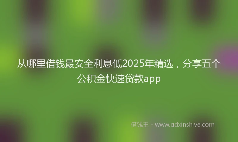 从哪里借钱最安全利息低2025年精选，分享五个公积金快速贷款app