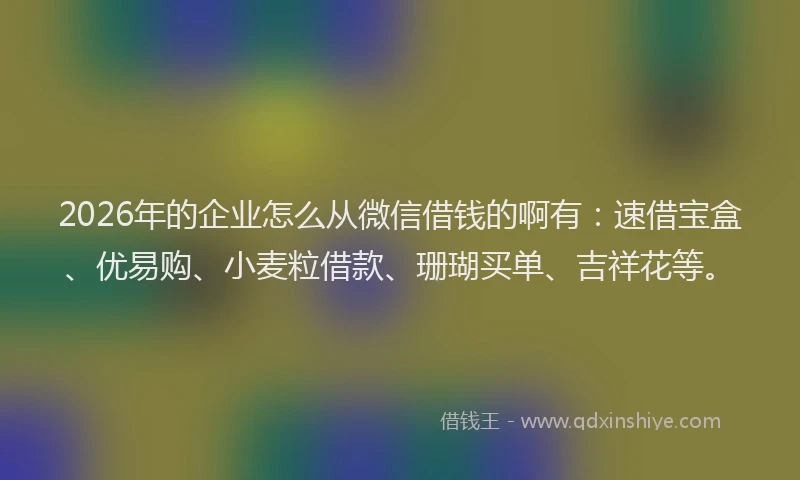 2026年的企业怎么从微信借钱的啊有：速借宝盒、优易购、小麦粒借款、珊瑚买单、吉祥花等。