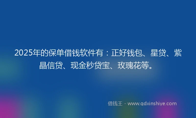 2025年的保单借钱软件有：正好钱包、星贷、紫晶信贷、现金秒贷宝、玫瑰花等。
