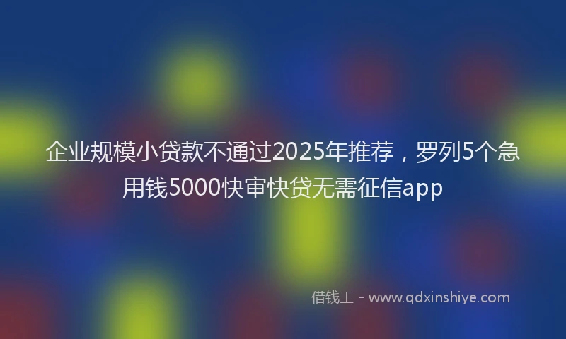 企业规模小贷款不通过2025年推荐，罗列5个急用钱5000快审快贷无需征信app