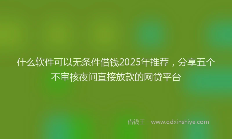 什么软件可以无条件借钱2025年推荐，分享五个不审核夜间直接放款的网贷平台