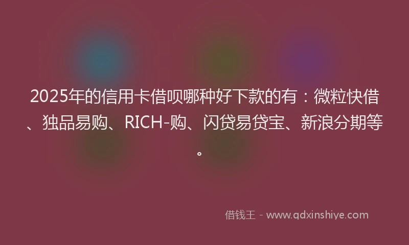 2025年的信用卡借呗哪种好下款的有：微粒快借、独品易购、RICH-购、闪贷易贷宝、新浪分期等。