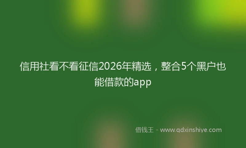 信用社看不看征信2026年精选，整合5个黑户也能借款的app