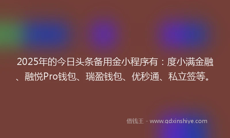 2025年的今日头条备用金小程序有：度小满金融、融悦Pro钱包、瑞盈钱包、优秒通、私立签等。