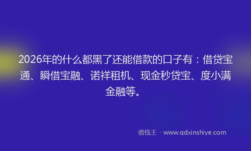 2026年的什么都黑了还能借款的口子有：借贷宝通、瞬借宝融、诺祥租机、现金秒贷宝、度小满金融等。