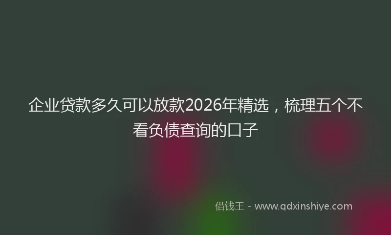 企业贷款多久可以放款2026年精选，梳理五个不看负债查询的口子