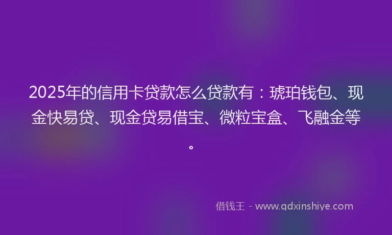 2025年的信用卡贷款怎么贷款有：琥珀钱包、现金快易贷、现金贷易借宝、微粒宝盒、飞融金等。