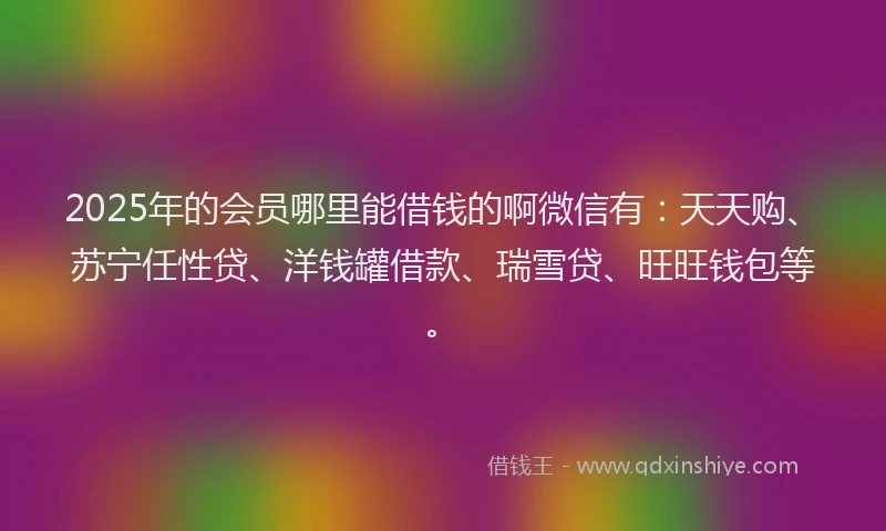 2025年的会员哪里能借钱的啊微信有：天天购、苏宁任性贷、洋钱罐借款、瑞雪贷、旺旺钱包等。