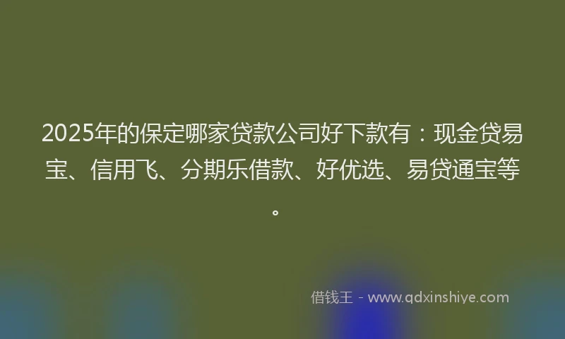 2025年的保定哪家贷款公司好下款有：现金贷易宝、信用飞、分期乐借款、好优选、易贷通宝等。