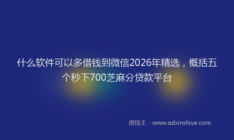 什么软件可以多借钱到微信2026年精选，概括五个秒下700芝麻分贷款平台