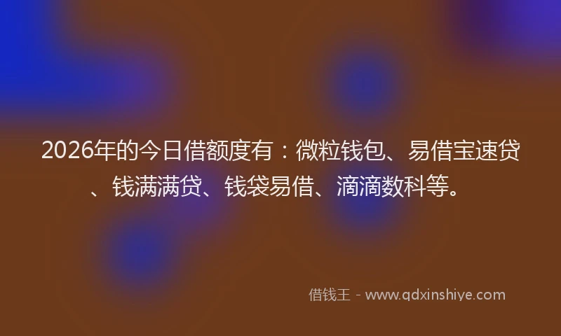 2026年的今日借额度有:微粒钱包、易借宝速贷、钱满满贷、钱袋易借、滴滴数科等。