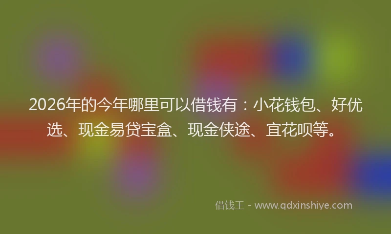 2026年的今年哪里可以借钱有:小花钱包、好优选、现金易贷宝盒、现金侠途、宜花呗等。