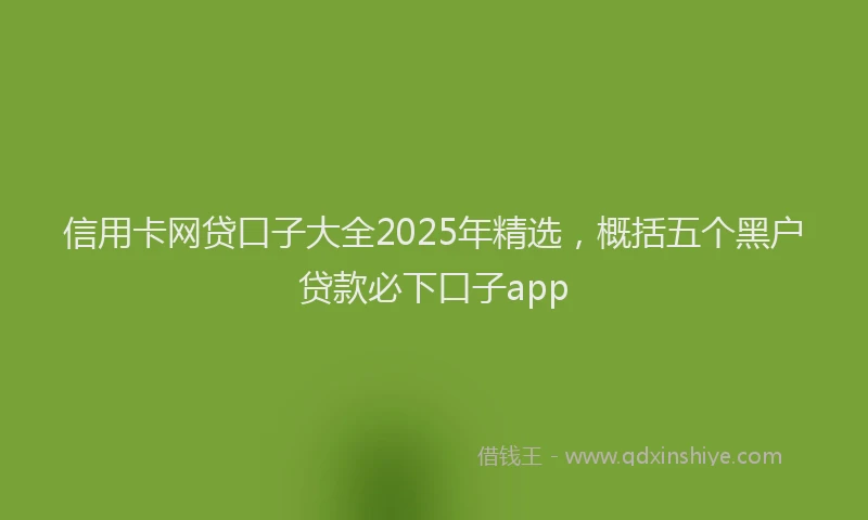 信用卡网贷口子大全2025年精选，概括五个黑户贷款必下口子app