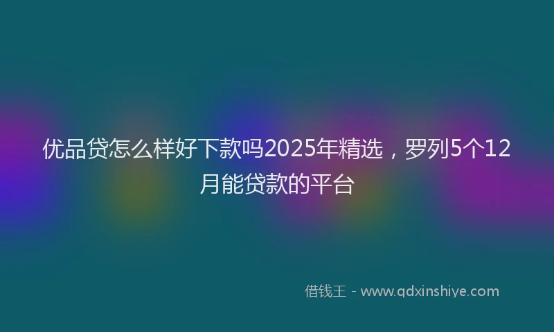 优品贷怎么样好下款吗2025年精选，罗列5个12月能贷款的平台