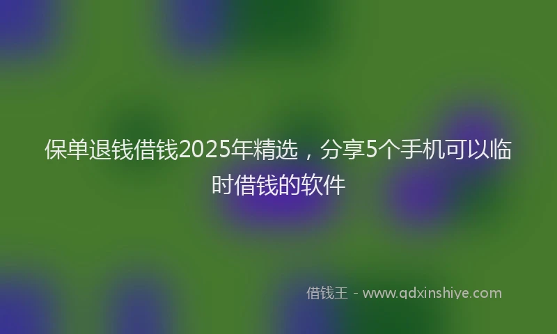 保单退钱借钱2025年精选，分享5个手机可以临时借钱的软件