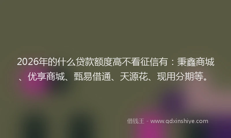 2026年的什么贷款额度高不看征信有:秉鑫商城、优享商城、甄易借通、天源花、现用分期等。