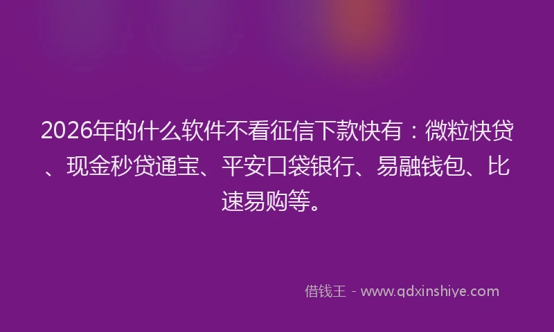2026年的什么软件不看征信下款快有:微粒快贷、现金秒贷通宝、平安口袋银行、易融钱包、比速易购等。