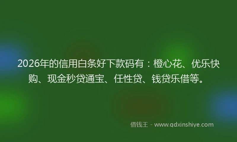 2026年的信用白条好下款码有：橙心花、优乐快购、现金秒贷通宝、任性贷、钱贷乐借等。