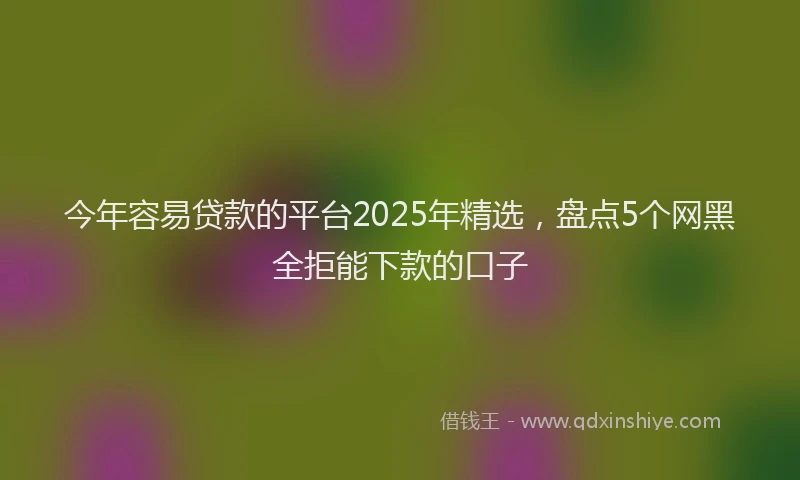 今年容易贷款的平台2025年精选，盘点5个网黑全拒能下款的口子