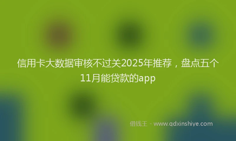信用卡大数据审核不过关2025年推荐，盘点五个11月能贷款的app