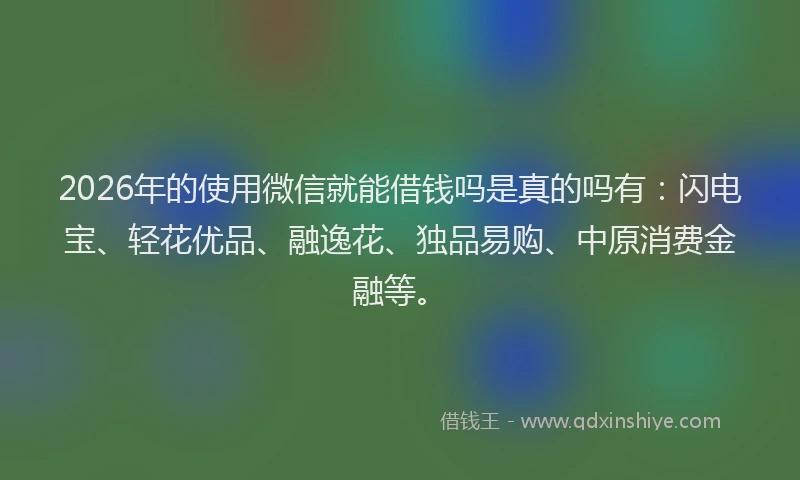 2026年的使用微信就能借钱吗是真的吗有：闪电宝、轻花优品、融逸花、独品易购、中原消费金融等。