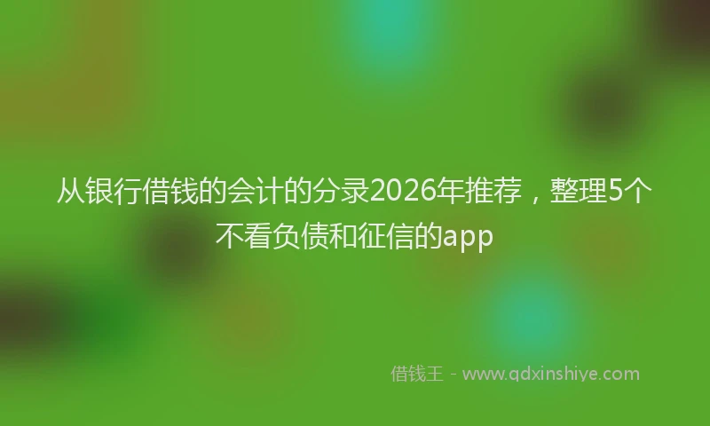 从银行借钱的会计的分录2026年推荐，整理5个不看负债和征信的app