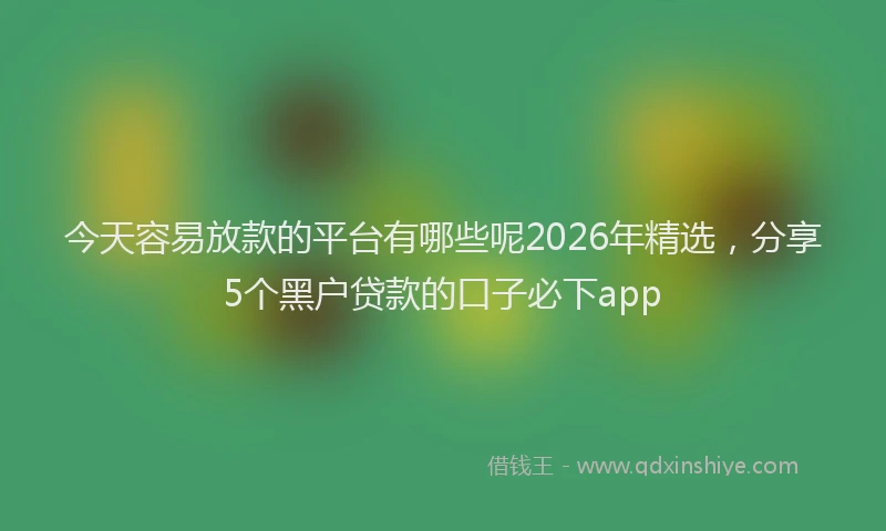 今天容易放款的平台有哪些呢2026年精选，分享5个黑户贷款的口子必下app