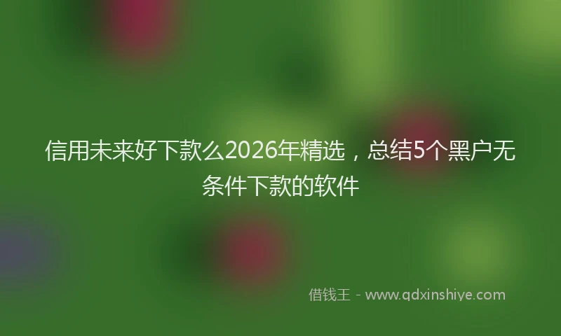 信用未来好下款么2026年精选，总结5个黑户无条件下款的软件