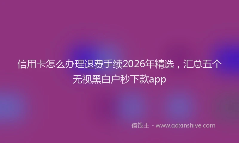 信用卡怎么办理退费手续2026年精选,汇总五个无视黑白户秒下款app