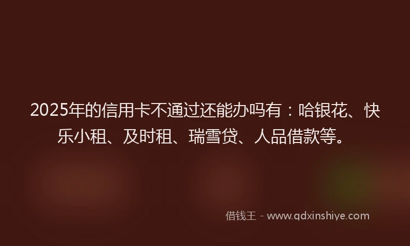 2025年的信用卡不通过还能办吗有：哈银花、快乐小租、及时租、瑞雪贷、人品借款等。