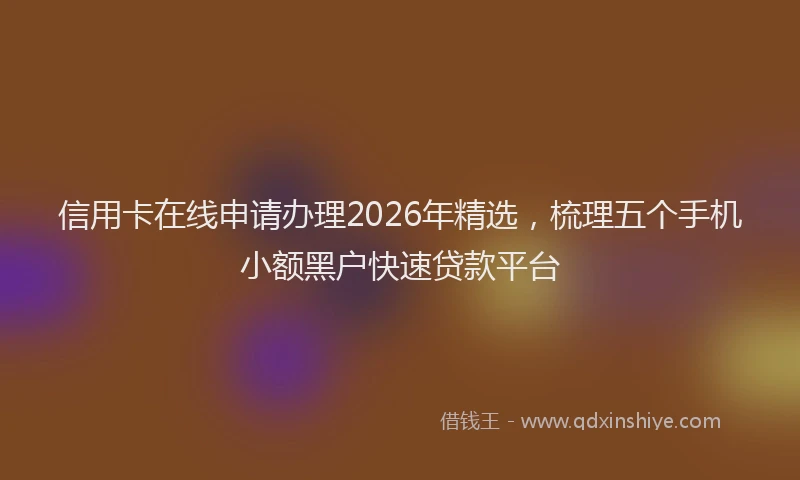 信用卡在线申请办理2026年精选,梳理五个手机小额黑户快速贷款平台
