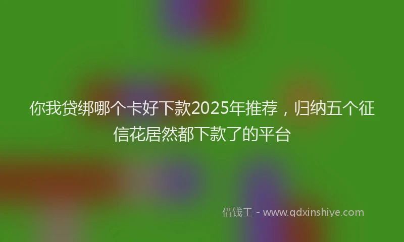 你我贷绑哪个卡好下款2025年推荐，归纳五个征信花居然都下款了的平台