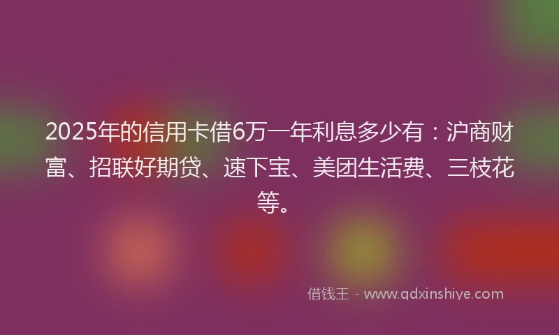 2025年的信用卡借6万一年利息多少有:沪商财富、招联好期贷、速下宝、美团生活费、三枝花等。
