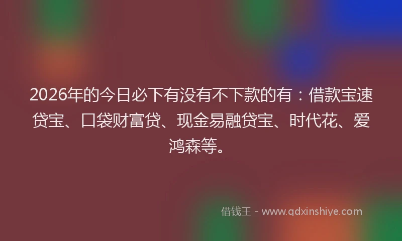 2026年的今日必下有没有不下款的有：借款宝速贷宝、口袋财富贷、现金易融贷宝、时代花、爱鸿森等。