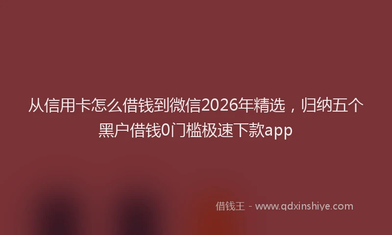 从信用卡怎么借钱到微信2026年精选，归纳五个黑户借钱0门槛极速下款app