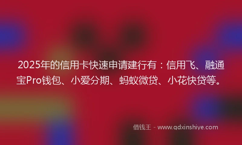 2025年的信用卡快速申请建行有：信用飞、融通宝Pro钱包、小爱分期、蚂蚁微贷、小花快贷等。