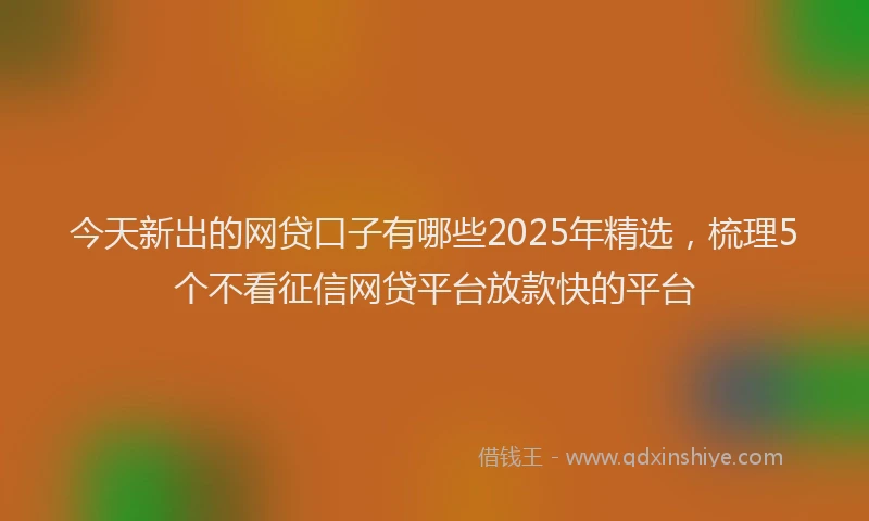 今天新出的网贷口子有哪些2025年精选，梳理5个不看征信网贷平台放款快的平台