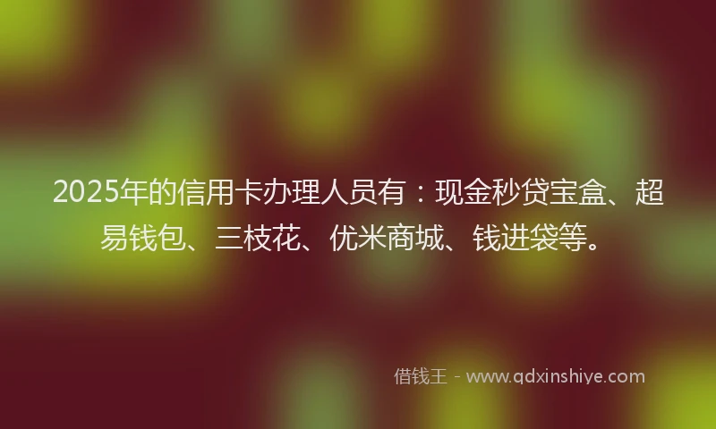 2025年的信用卡办理人员有：现金秒贷宝盒、超易钱包、三枝花、优米商城、钱进袋等。