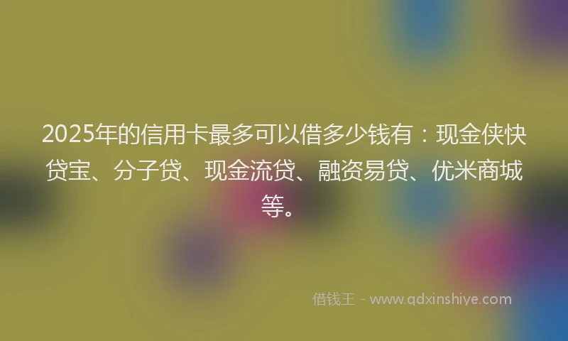 2025年的信用卡最多可以借多少钱有：现金侠快贷宝、分子贷、现金流贷、融资易贷、优米商城等。