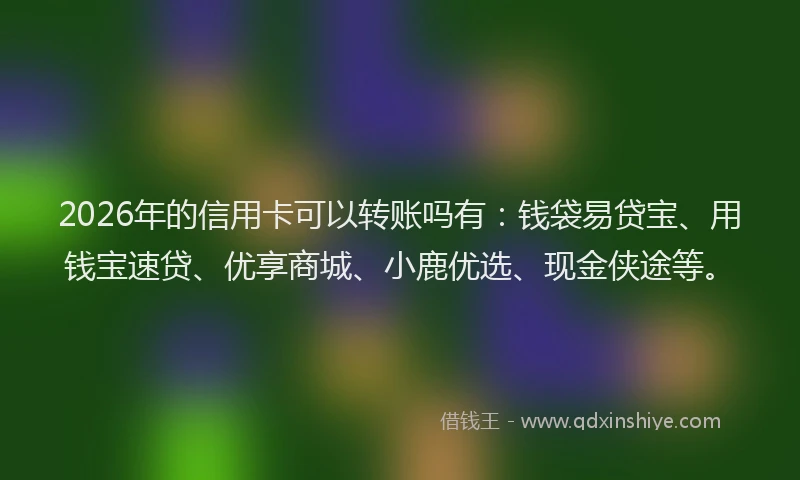 2026年的信用卡可以转账吗有:钱袋易贷宝、用钱宝速贷、优享商城、小鹿优选、现金侠途等。