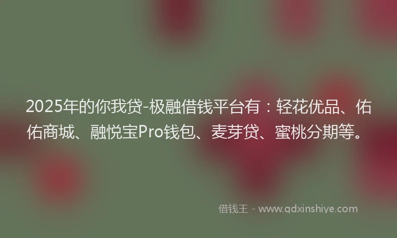 2025年的你我贷-极融借钱平台有：轻花优品、佑佑商城、融悦宝Pro钱包、麦芽贷、蜜桃分期等。