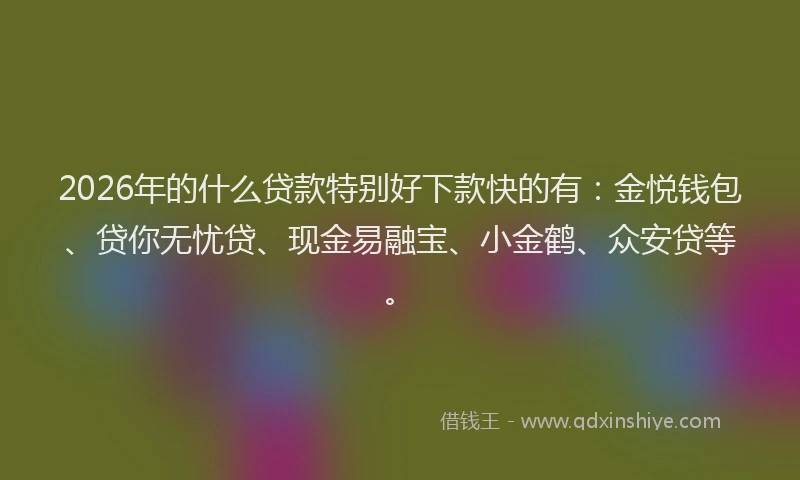 2026年的什么贷款特别好下款快的有：金悦钱包、贷你无忧贷、现金易融宝、小金鹤、众安贷等。