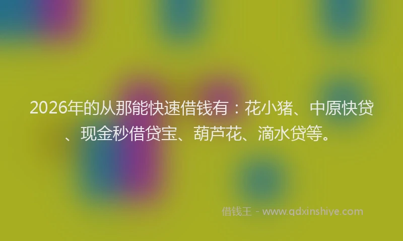2026年的从那能快速借钱有:花小猪、中原快贷、现金秒借贷宝、葫芦花、滴水贷等。