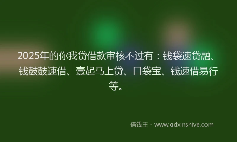 2025年的你我贷借款审核不过有：钱袋速贷融、钱鼓鼓速借、壹起马上贷、口袋宝、钱速借易行等。