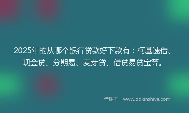 2025年的从哪个银行贷款好下款有：柯基速借、现金贷、分期易、麦芽贷、借贷易贷宝等。
