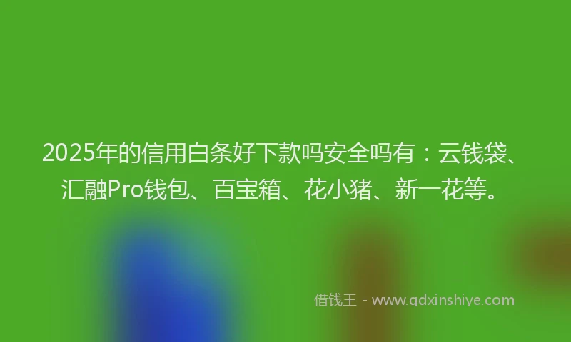 2025年的信用白条好下款吗安全吗有：云钱袋、汇融Pro钱包、百宝箱、花小猪、新一花等。